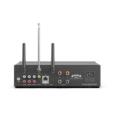 Підсилювач Arylic A100 Wireless Multiroom Full Digital Amplifier