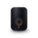 Акустична система Bluesound Professional BSP500 Black